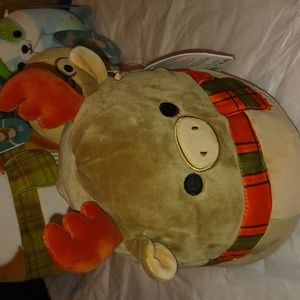 Patterson the moose squishmallow